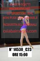 14530_C23