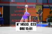 14533_C23