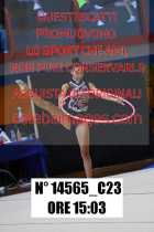 14565_C23