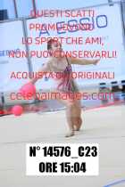 14576_C23