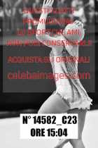 14582_C23