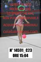 14591_C23