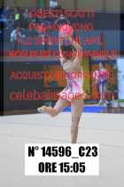 14596_C23