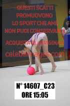 14607_C23