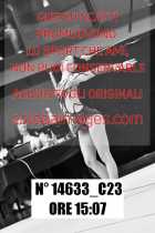 14633_C23