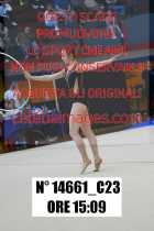 14661_C23