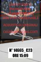 14665_C23