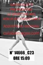 14666_C23