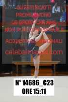 14686_C23