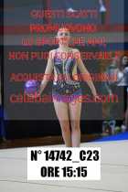 14742_C23