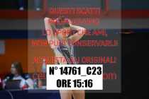 14761_C23