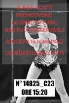 14825_C23