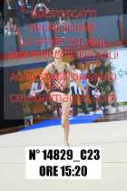 14829_C23