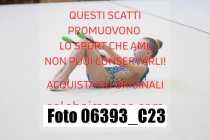 06393_C23