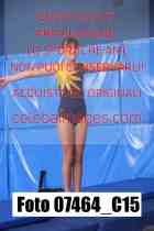 07464_C15