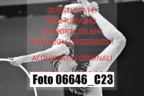 06646_C23