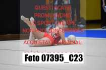 07395_C23