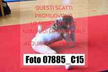 07885_C15