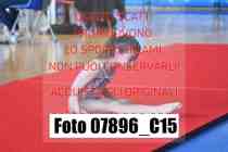 07896_C15