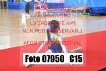 07950_C15