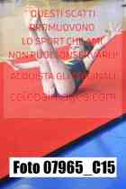 07965_C15