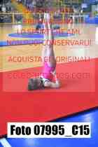 07995_C15