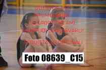 08639_C15