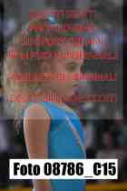 08786_C15