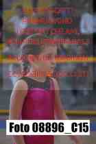 08896_C15