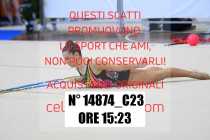 14874_C23