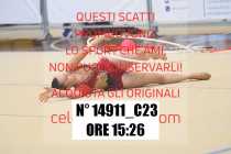 14911_C23
