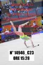 14946_C23