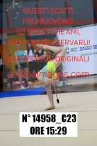 14958_C23