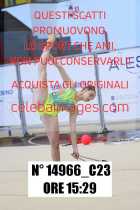14966_C23