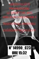 14990_C23