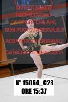 15064_C23
