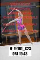 15161_C23