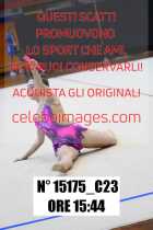 15175_C23