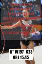 15197_C23