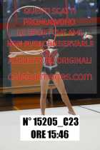 15205_C23