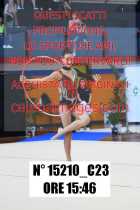 15210_C23