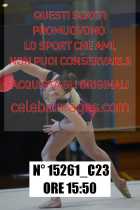 15261_C23
