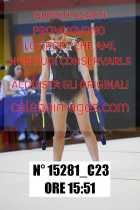 15281_C23