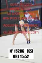 15286_C23