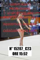 15287_C23