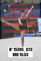 15305_C23