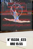 15338_C23