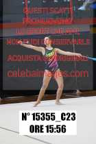 15355_C23