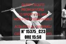 15375_C23