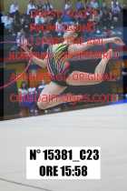 15381_C23